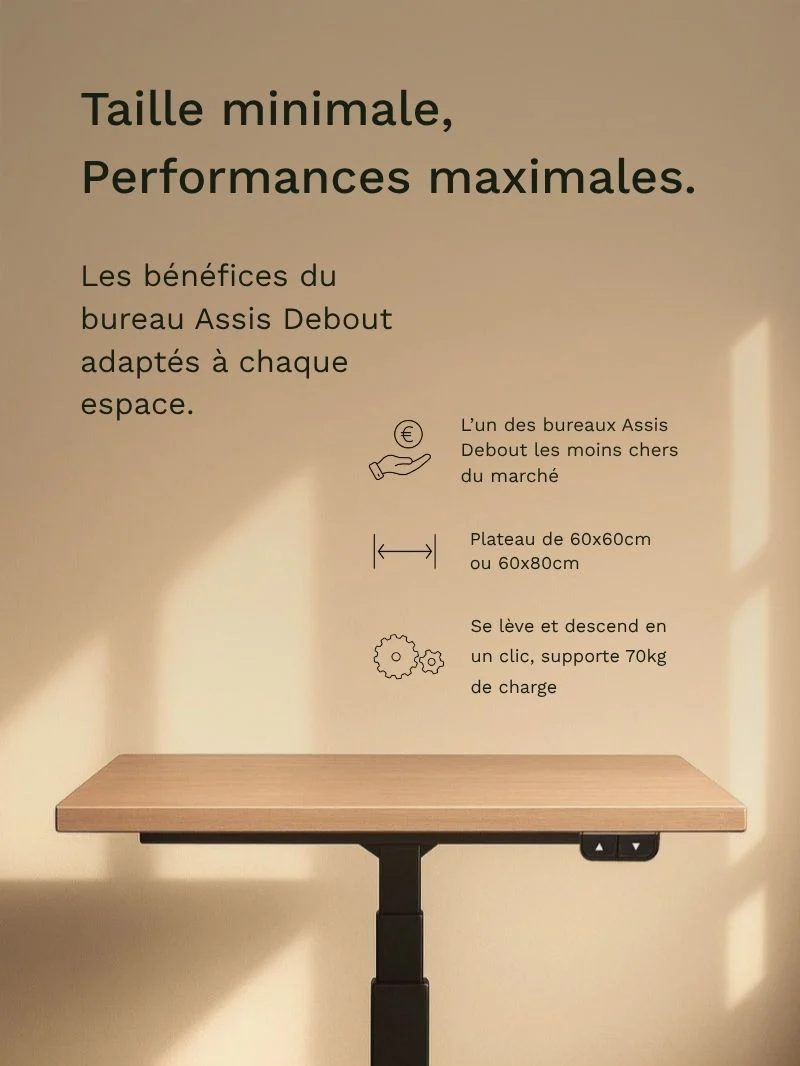 Mini Plus | Pieds de Bureau Électrique Réglable en Hauteur - Image 4